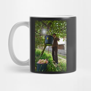 Senior farmer picking apples Mug